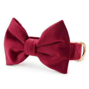 Burgundy Velvet Bow Tie Collar