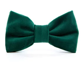 Dog and Cat Bowtie: Forest Green Velvet