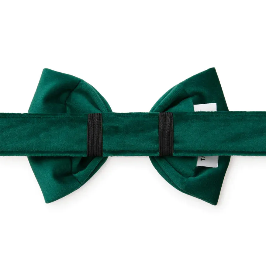 Dog and Cat Bowtie: Forest Green Velvet