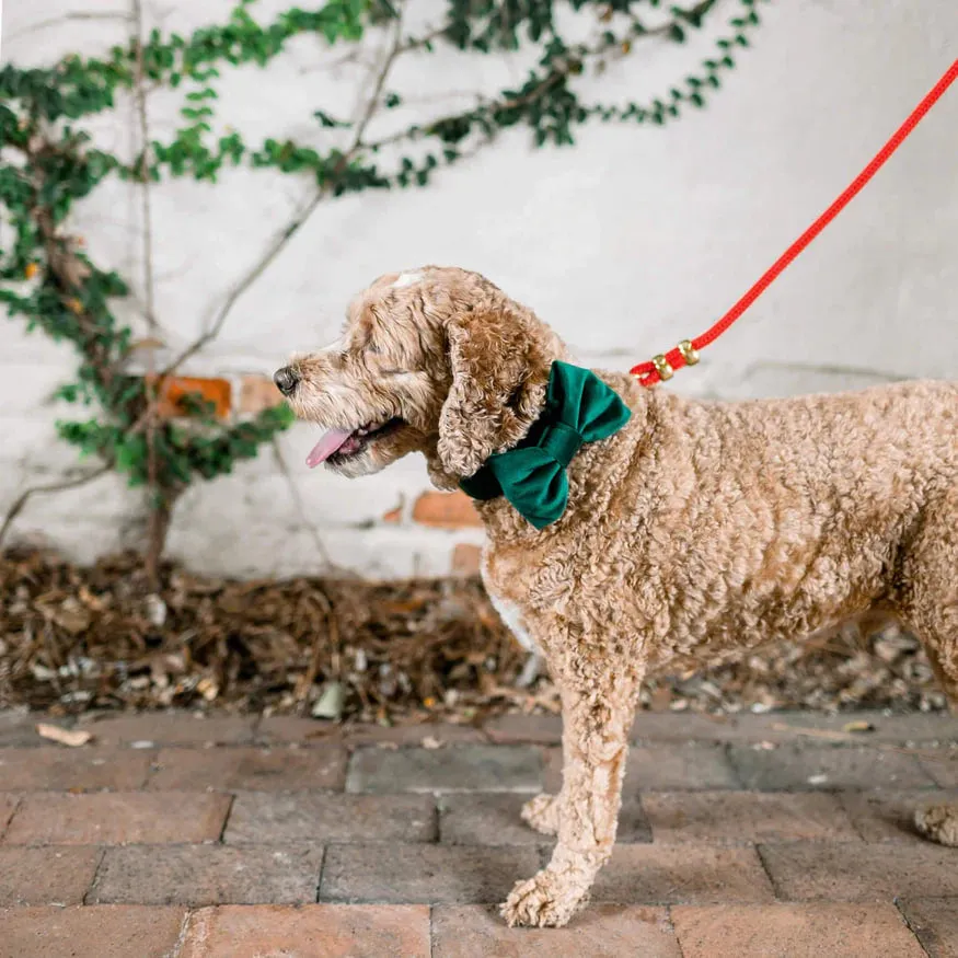 Dog and Cat Bowtie: Forest Green Velvet