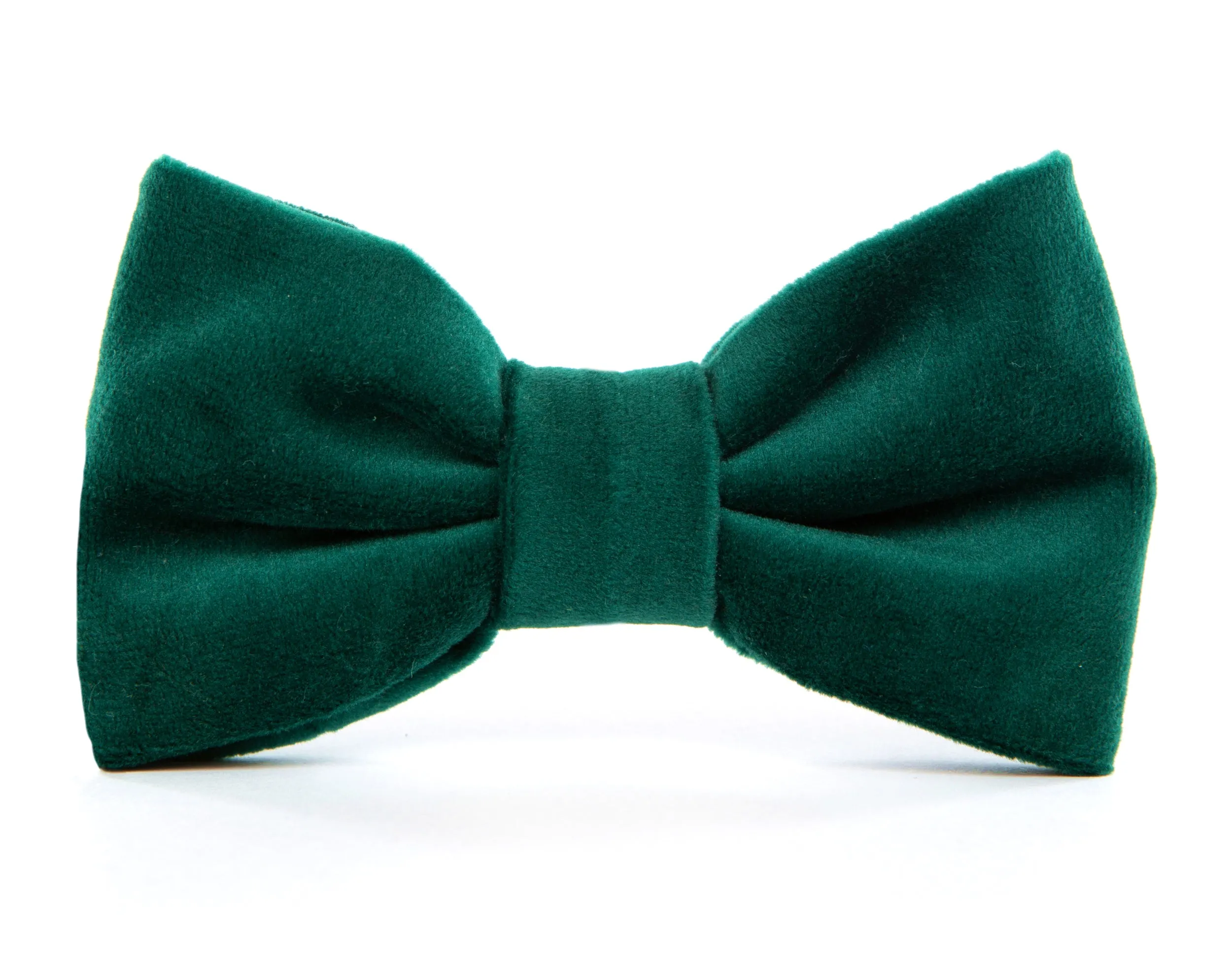 Dog and Cat Bowtie: Forest Green Velvet