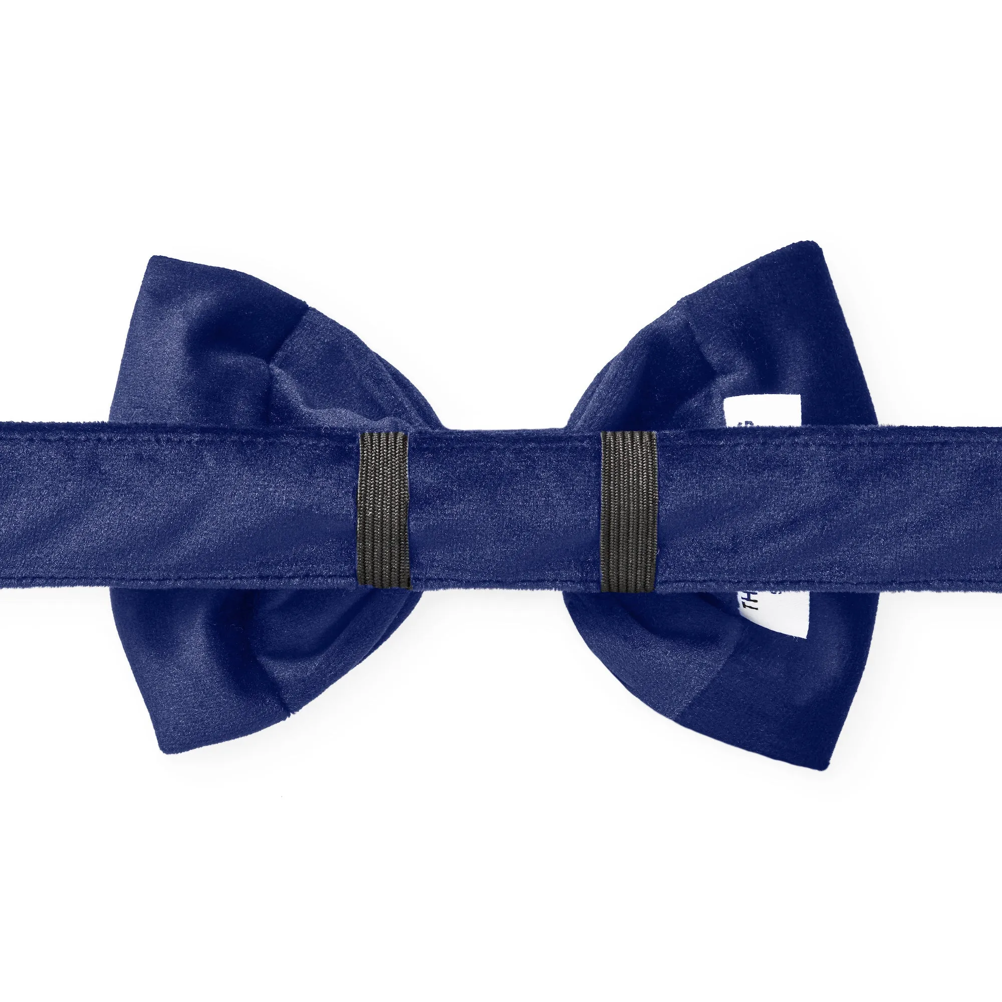 Dog and Cat Bowtie: Navy Velvet