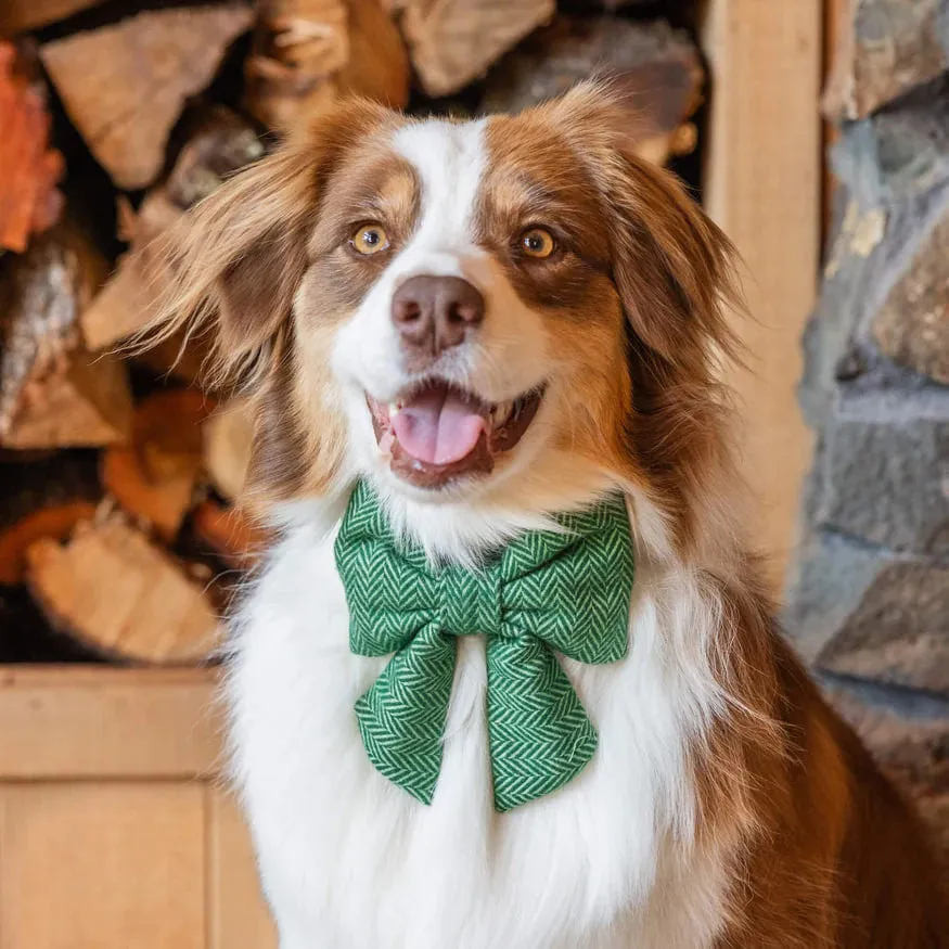 Dog and Cat Lady Bowtie: Green Herringbone Flannel