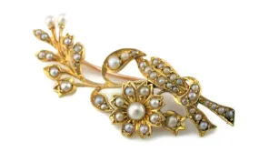 Fine Antique Edwardian Yellow Gold & Seed Pearls Floral Spray Brooch