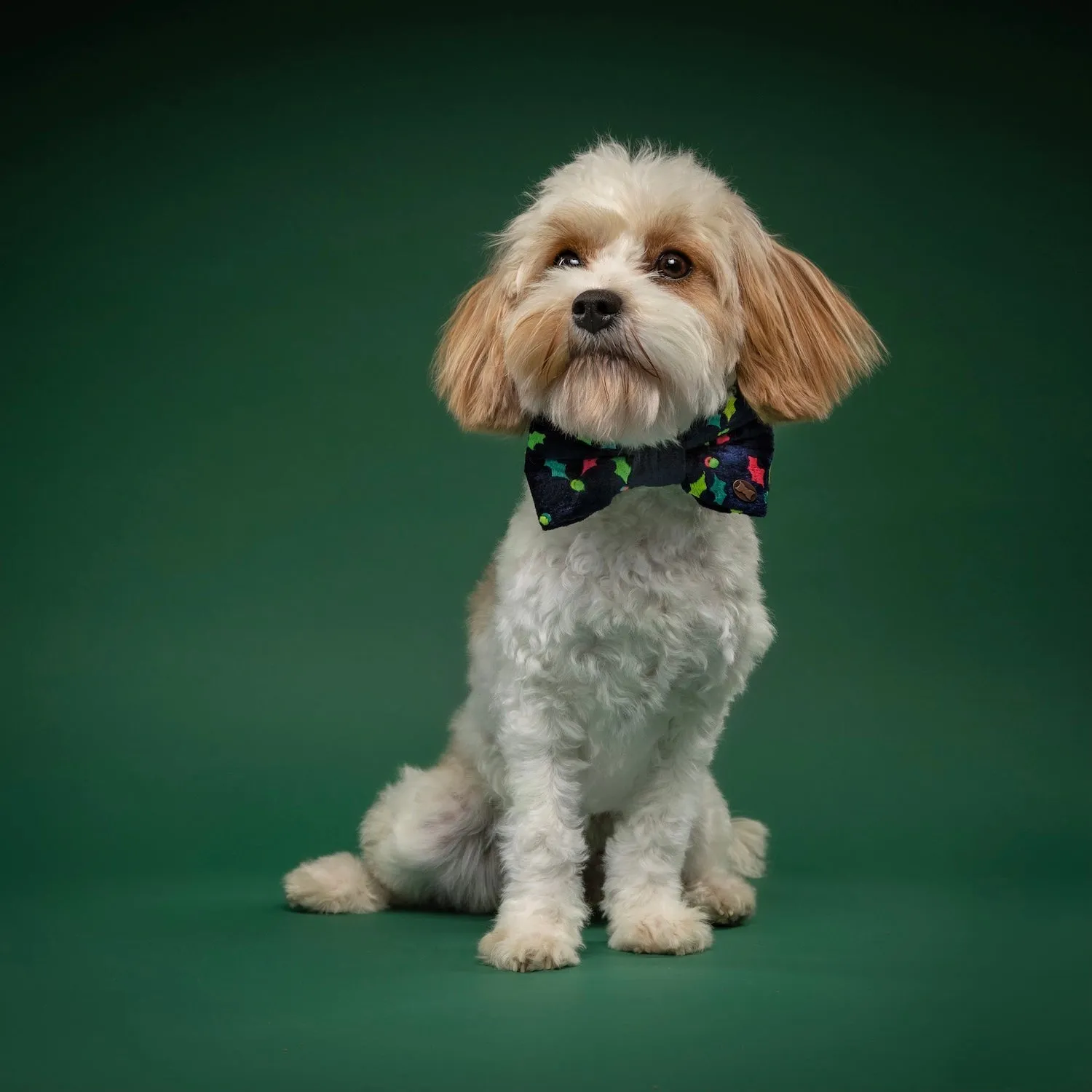 Jolly Holly Dog Bow Tie