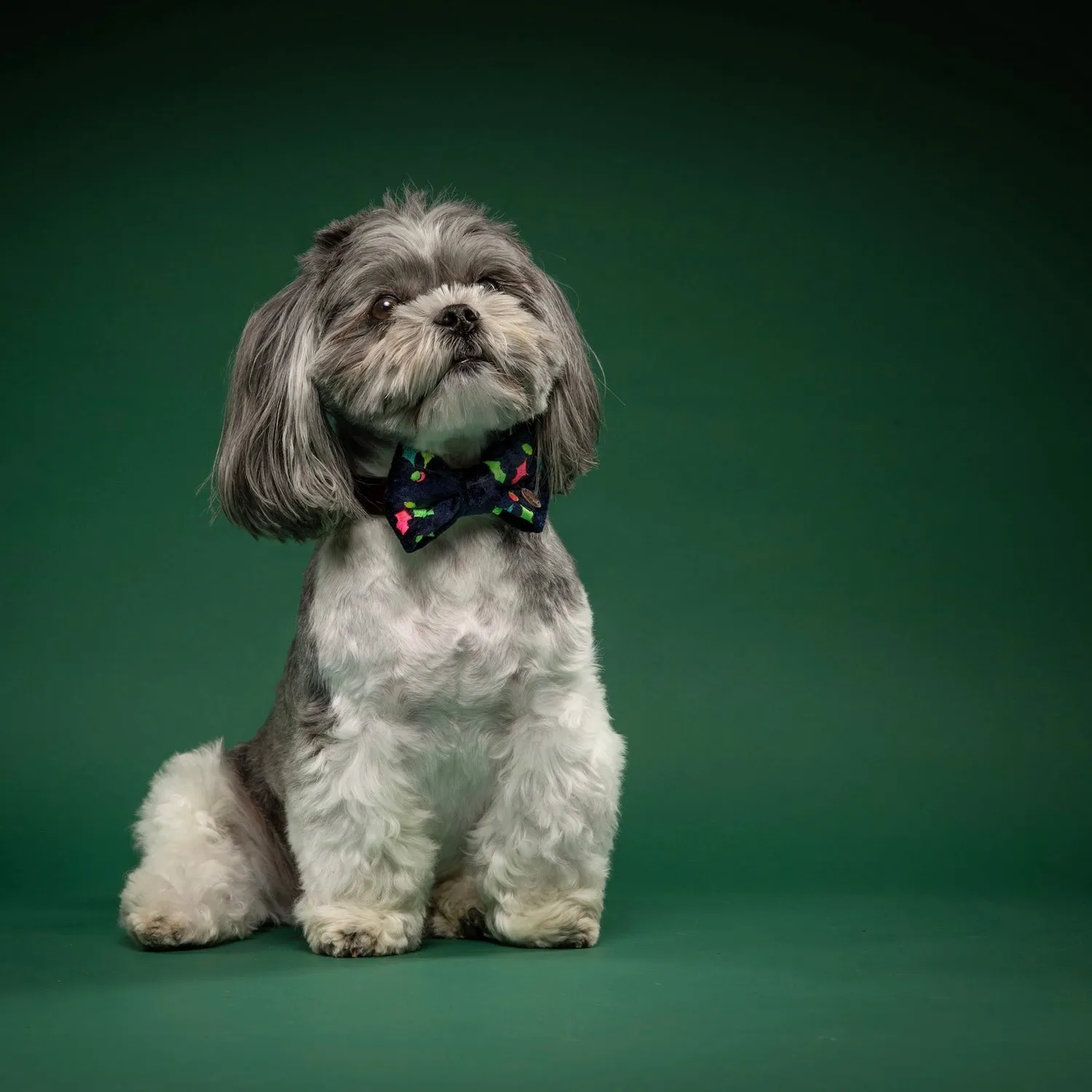 Jolly Holly Dog Bow Tie