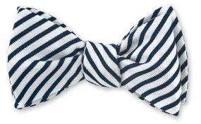 Navy/ White Sherman Striped Bow Tie - B2544