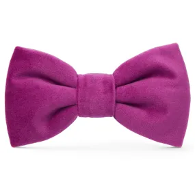 Plum Velvet Dog Bow Tie