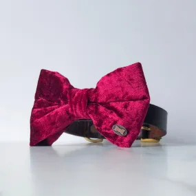 Resplendent Red Velvet Dog Bow Tie