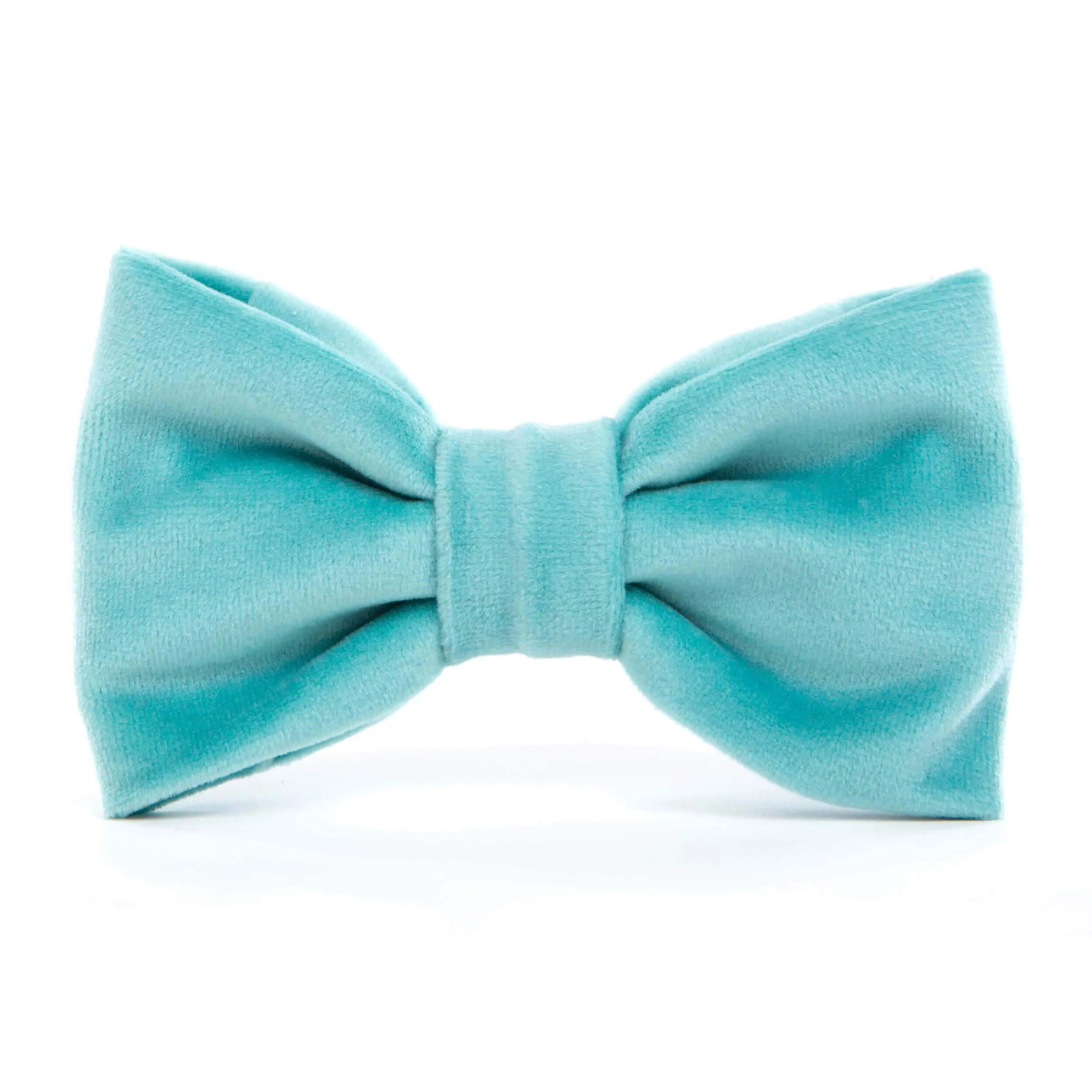 Robin’s Egg Velvet Dog Bow Tie