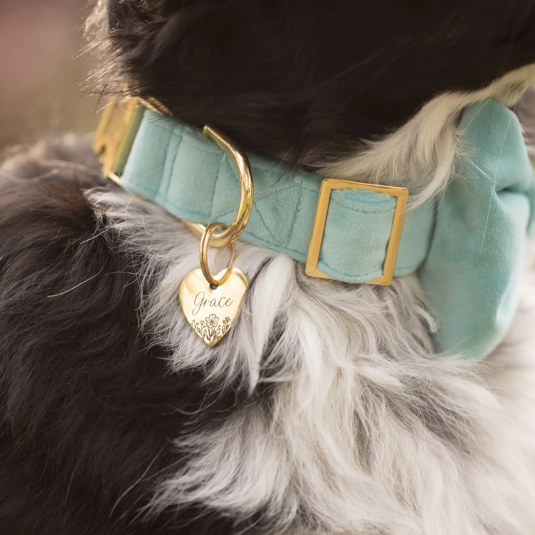 Robin’s Egg Velvet Dog Bow Tie