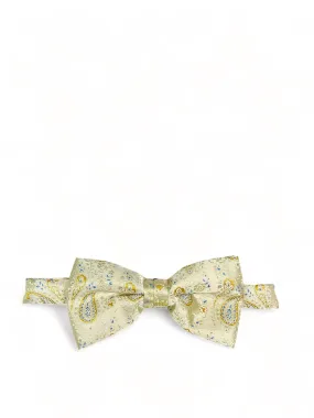 Steven Land Champagne Floral Bow Tie Set