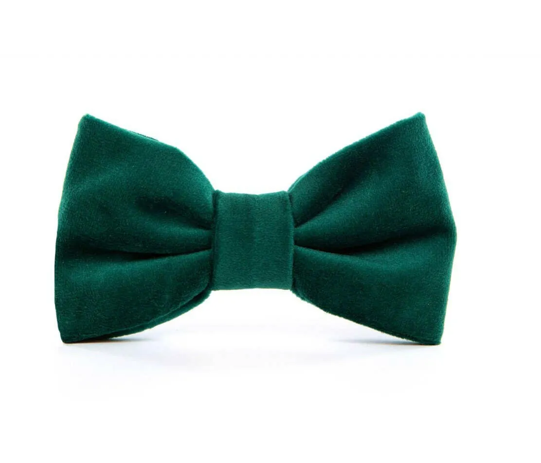 The Foggy Dog Bow Tie - Forest Green Velvet