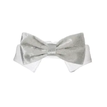 Valentino Shirt Collar & Bow Tie