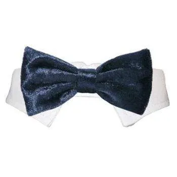 Valentino Shirt Collar & Bow Tie