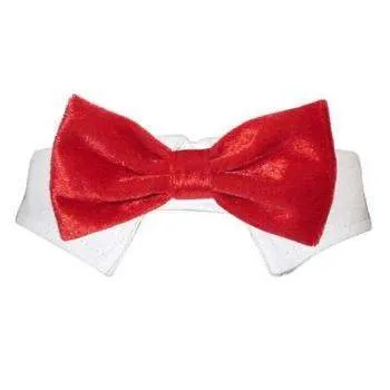 Valentino Shirt Collar & Bow Tie