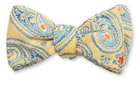 Yellow, Peach & Blue Gordon Paisley Bow Tie - B5251